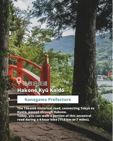 Hakone Kyu Kaido Trail