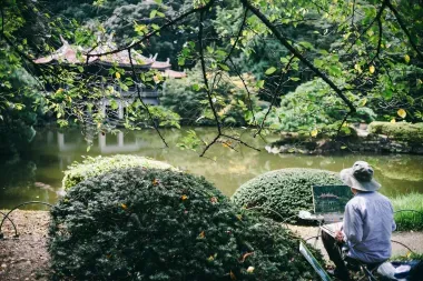 homme peignant un étang japonais