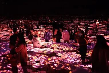 Projected Lily Pads at TeamLab Borderless