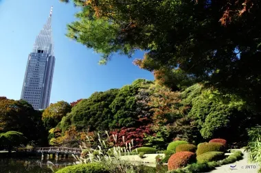 Le Shinjuku Gyoen regroupe trois styles de jardin: à l'anglaise, à la japoansie et à la française 