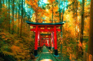 Fushimi Inari Taisha en automne