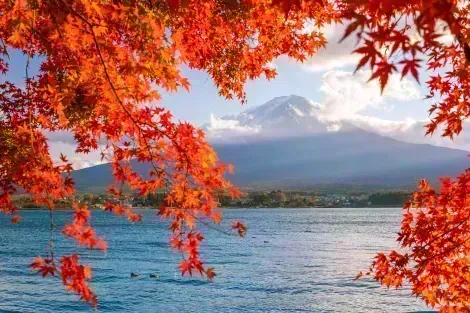 Visita el monte Fuji en la temporada de otoño