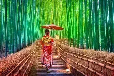 La bambouseraie d'Arashiyama : l'un des incontournables pour toute visite de Kyoto