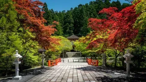 Hermosa naturaleza y follaje otoñal en el valle sagrado de Kōyasan