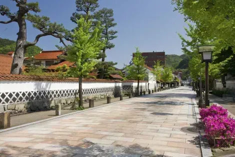 Le village traditionnel de Tsuwano avec ses arbres ginkgo