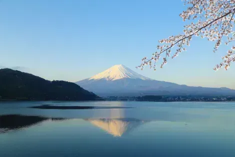 Le Mont Fuji pendant les cerisiers en fleurs