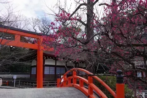 El santuario Shimogawamo, en Kioto