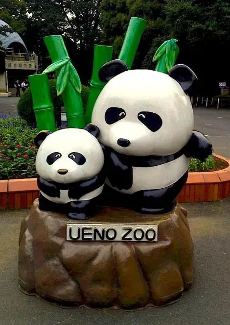 Le zoo d'Ueno a été le premier zoo japonais à recevoir un couple de panda chinois.