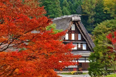 Casa ad Hida-no-Sato