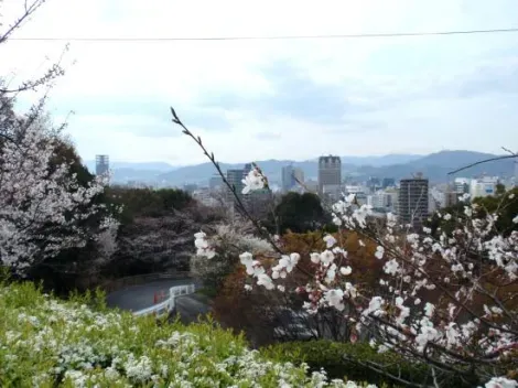 Vista de la ciudad de Hiroshima desde el parque Hijiyama-Koen.