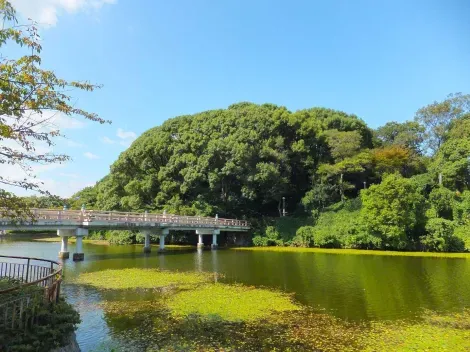 El hermoso estanque del parque Tennoji.