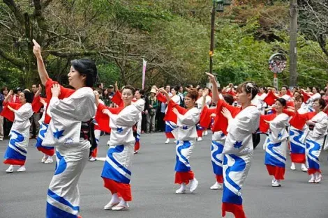 Hakone Daimyo Gyoretsu festival