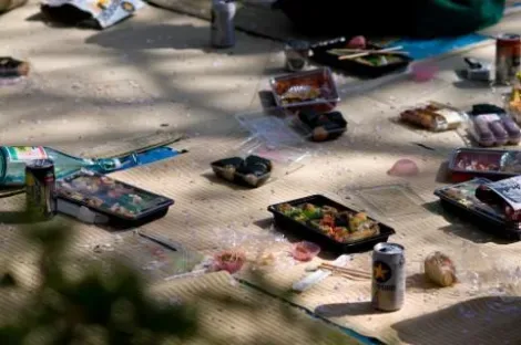 I picnic degli hanami sono vivaci ed animati; non è raro che vi sia cibo e bevande in grande quantità.
