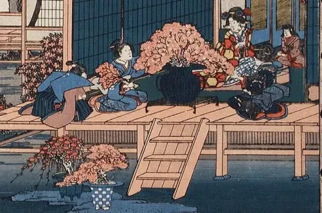 Introduits pendant l'ère Heian, les premières représentations nippones de bonsaïs apparaissent au cours de l'ère Kumakura