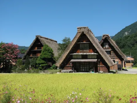 Casas tradicionales gassho-zukuri, en el pequeño pueblo de Shirakawago, cerca de Takayama