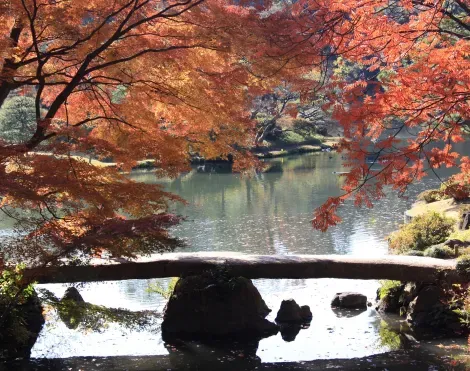 Le jardin Rikugi-en en automne