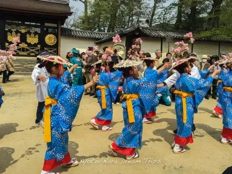 Schoolgirls open the festivities of Hō-Taikō Hanami Gyōretsu at Daigo-ji Temple