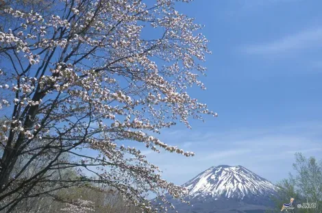 Le Mont Yôtei rappelle par sa silhouette le Mont Fuji