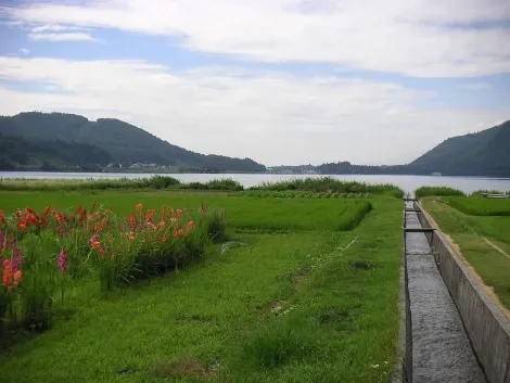 Le lac Kizaki en été