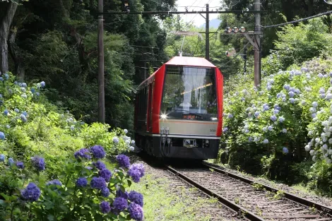 Bergbahn Hakone Tozan Line