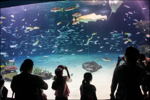 L'aquarium de Sunshine City à Ikebukuro, Tokyo