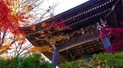Circuit des temples de Higashiyama Teramachi