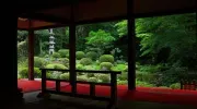 El verdísimo jardín del Sanzen-in.