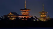 le toto du Yakushi-ji