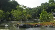 Jardin du Shinshoji