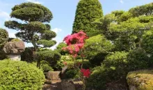 zoen - Japanese landscape gardening.