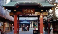 Le temple bouddhique Koganji, de la secte zen Sôtô dans le quartier de Sugamo à Tokyo est particulièrement renommé pour sa statue de Togenuki Jizô.