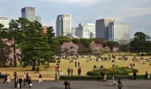 En plein cœur de Tokyo, le jardin impérial est la seule partie accessible au public des jardins de l'Empereur.