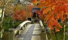 Puente de piedra en el Zenrin-ji.