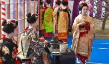 Geishas servant le thé pour le festival Baika Sai. 