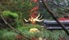 Estatua dorada en el jardín de la Villa Shugaku-in.