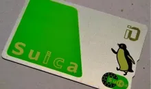 La carta Suica, riconoscibile per il suo colore verde e l'immagine del pinguino