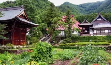 Le temple Ganshô-in et son jardin de fleurs