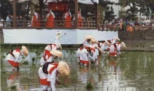 El festival de Otaue en Osaka celebra la siembra de arroz.