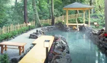 Le bain extérieur du onsen Hakone yuryo
