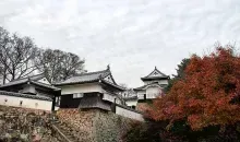 Japan Visitor - bitchu-1.jpg
