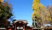 Japan Visitor - chichibu-guide-1.jpg