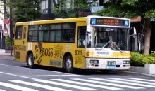 Japan Visitor - nishitetsubus2.jpg