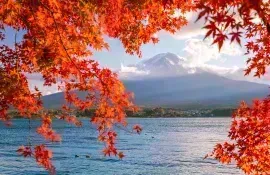 Besuchen Sie den Fuji im Herbst