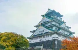El castillo de Osaka está rodeado por un parque lleno de cerezos y ciruelos