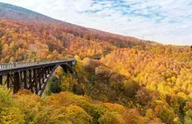 Puente entre el bosque durante la temporada de otoño, prefectura de Aomori