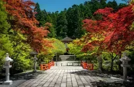 Hermosa naturaleza y follaje otoñal en el valle sagrado de Kōyasan