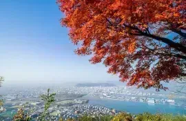 La città di Takamatsu, sul mare interno di fronte all'isola di Naoshima, merita una visita