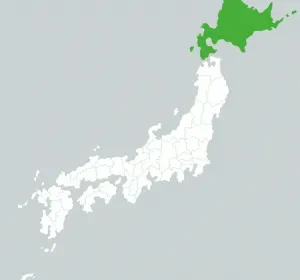 Los pases de Hokkaido te permitirán viajes ilimitados en la salvaje Isla Norte