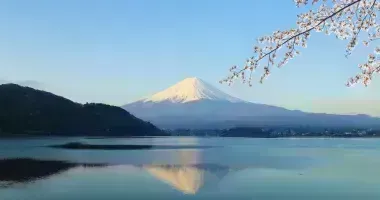 Mount Fuji während der Kirschblüte (Sakura)