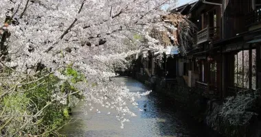 El canal de Shirakawa en Kyoto.